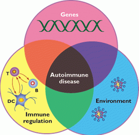 Схема от Nature Immunology  2, 759 - 761 (2001)